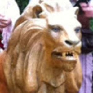 Meet your Posher, Robin